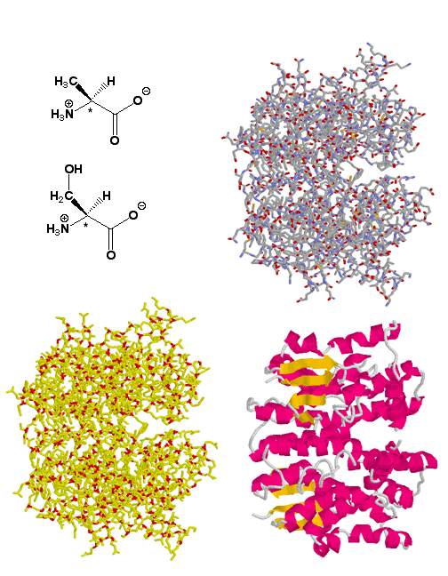 MOTD Chiral Biological Molecules